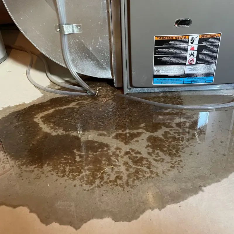 Pipe Burst and Leak Restoration in Clintwood, VA
