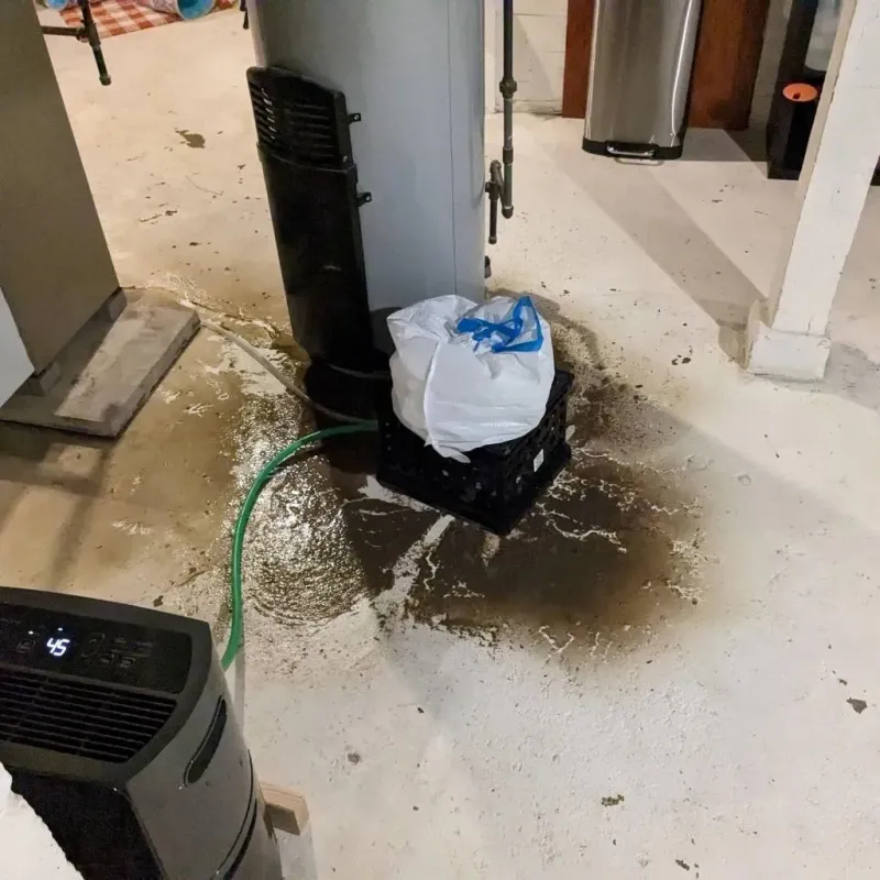 Sewage Backup Cleanup Service in Clintwood, VA